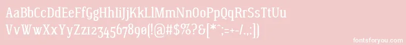 WagashiserifBeta1 Font – White Fonts on Pink Background