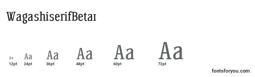 Размеры шрифта WagashiserifBeta1