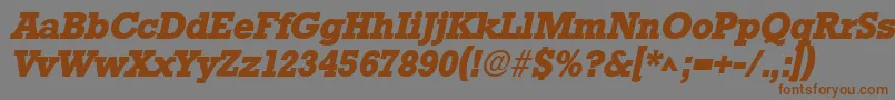 StamfordHeavySfBoldItalic Font – Brown Fonts on Gray Background
