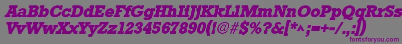 StamfordHeavySfBoldItalic Font – Purple Fonts on Gray Background