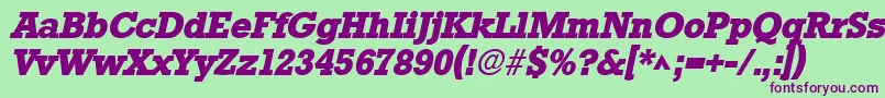 StamfordHeavySfBoldItalic Font – Purple Fonts on Green Background