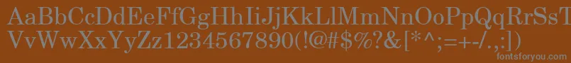 フォントNewCenturySchlbkGreekUpright – 茶色の背景に灰色の文字