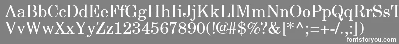 Шрифт NewCenturySchlbkGreekUpright – белые шрифты на сером фоне
