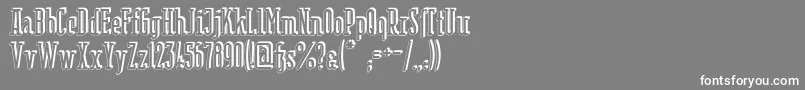 BerlinEmailSerifShadow Font – White Fonts on Gray Background