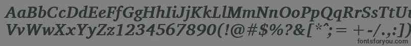 フォントCharisSilBoldItalic – 黒い文字の灰色の背景