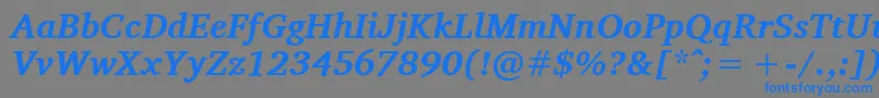 フォントCharisSilBoldItalic – 灰色の背景に青い文字