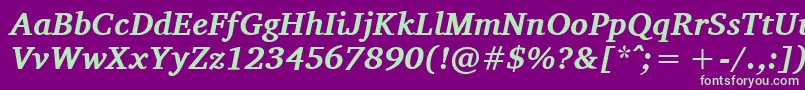 CharisSilBoldItalic Font – Green Fonts on Purple Background