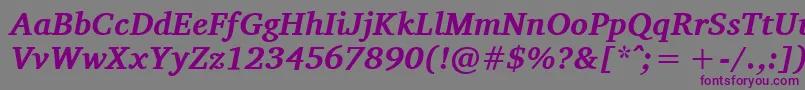 Шрифт CharisSilBoldItalic – фиолетовые шрифты на сером фоне