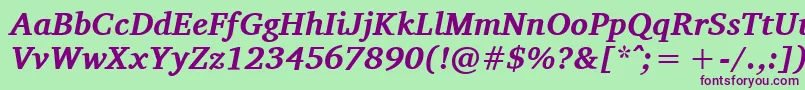 CharisSilBoldItalic Font – Purple Fonts on Green Background