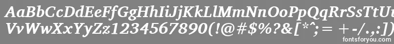 フォントCharisSilBoldItalic – 灰色の背景に白い文字