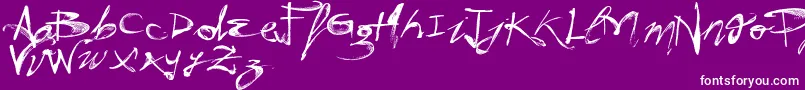VtksHunt-Schriftart – Weiße Schriften auf violettem Hintergrund