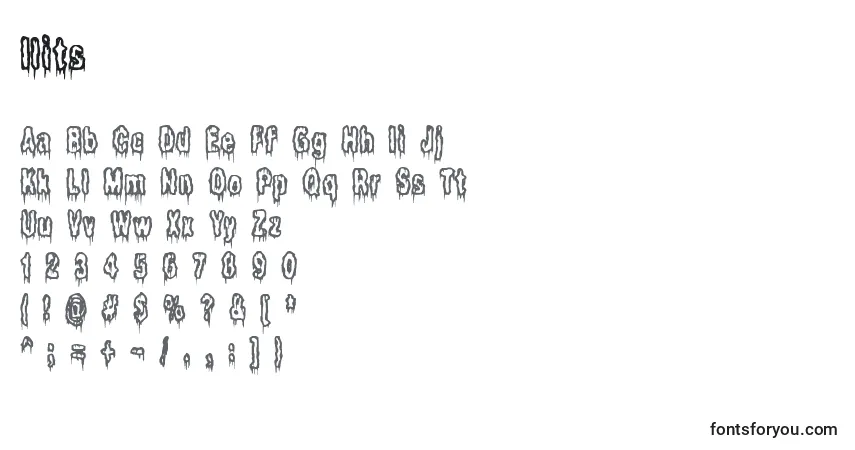 A fonte Ilits – alfabeto, números, caracteres especiais