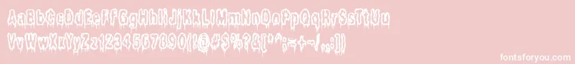 Ilits Font – White Fonts on Pink Background