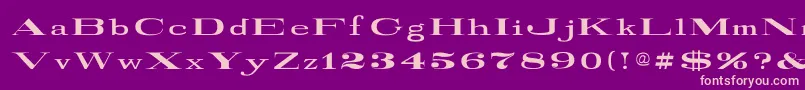 RailroadRoman1916Normal Font – Pink Fonts on Purple Background