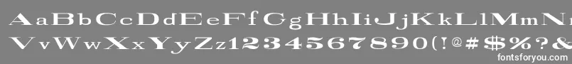 RailroadRoman1916Normal-Schriftart – Weiße Schriften auf grauem Hintergrund