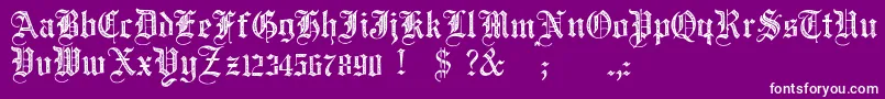 JmhSantaMariaRough Font – White Fonts on Purple Background