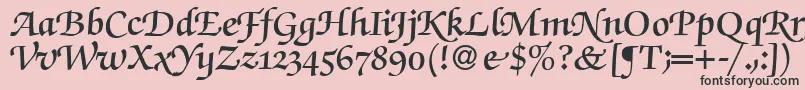 フォントZabriskiescriptswashDemiRegular – ピンクの背景に黒い文字