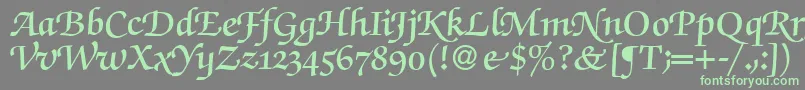 フォントZabriskiescriptswashDemiRegular – 灰色の背景に緑のフォント