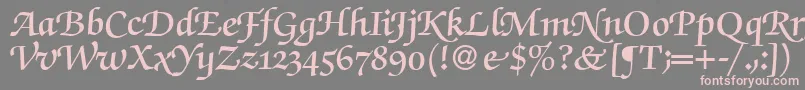 ZabriskiescriptswashDemiRegular Font – Pink Fonts on Gray Background