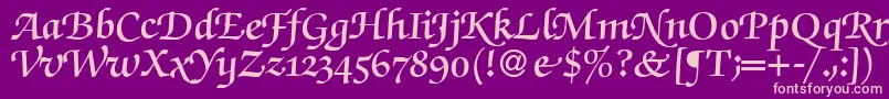 ZabriskiescriptswashDemiRegular Font – Pink Fonts on Purple Background