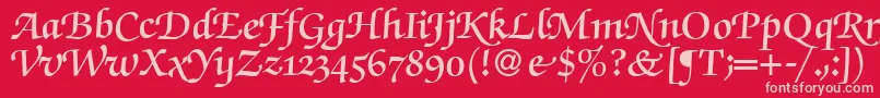 ZabriskiescriptswashDemiRegular Font – Pink Fonts on Red Background