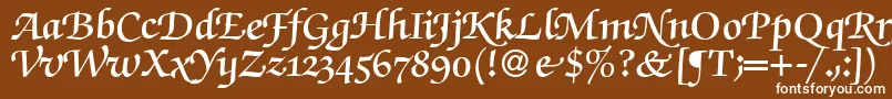 ZabriskiescriptswashDemiRegular Font – White Fonts on Brown Background