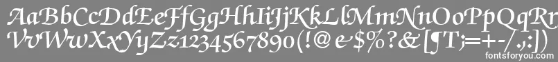 フォントZabriskiescriptswashDemiRegular – 灰色の背景に白い文字