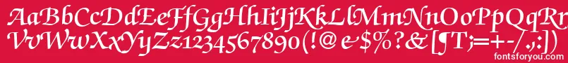 ZabriskiescriptswashDemiRegular Font – White Fonts on Red Background