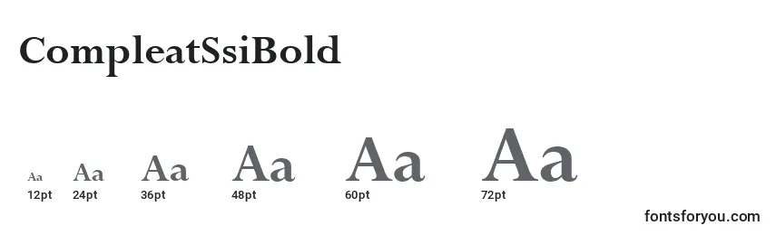 CompleatSsiBold Font Sizes