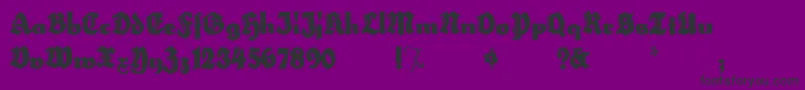 HerzogvongrafTallMeg Font – Black Fonts on Purple Background