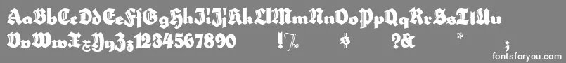 HerzogvongrafTallMeg Font – White Fonts on Gray Background