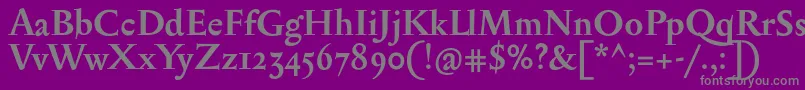 フォントSerapioniiBold – 紫の背景に灰色の文字