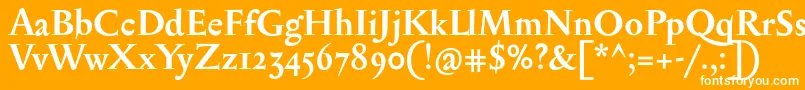 SerapioniiBold Font – White Fonts on Orange Background
