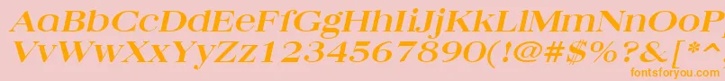 QuantasbroadBoldItalic Font – Orange Fonts on Pink Background