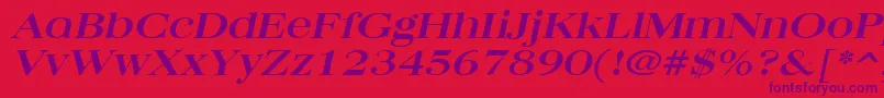 QuantasbroadBoldItalic Font – Purple Fonts on Red Background