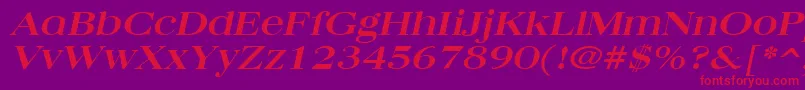 QuantasbroadBoldItalic Font – Red Fonts on Purple Background