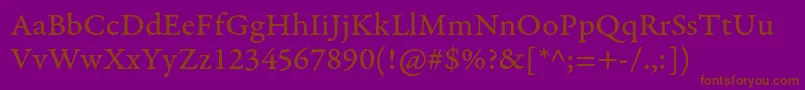 GaramondpremrproCapt Font – Brown Fonts on Purple Background