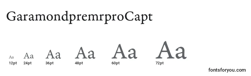 GaramondpremrproCapt Font Sizes