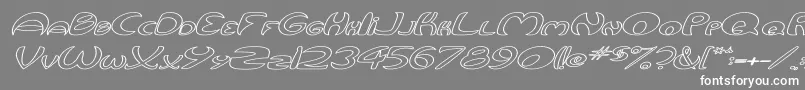 QurveHollowWideItalic-fontti – valkoiset fontit harmaalla taustalla