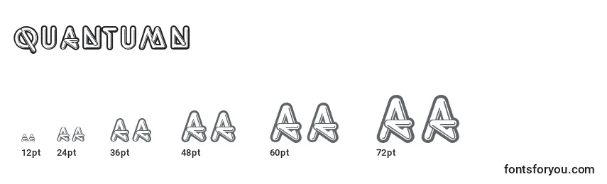 Quantumn font sizes