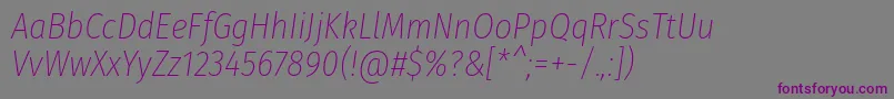 フォントFirasanscondensedUltralightitalic – 紫色のフォント、灰色の背景