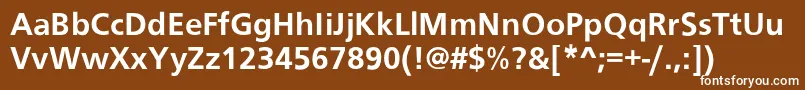 Noisty Font – White Fonts on Brown Background