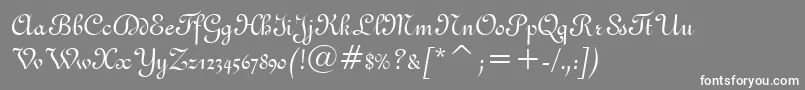 Gandon Font – White Fonts on Gray Background