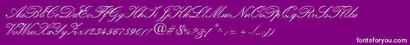 KuenstlerScriptLtBold Font – White Fonts on Purple Background