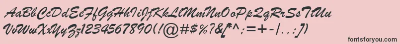 BrushScriptMtItalic Font – Black Fonts on Pink Background