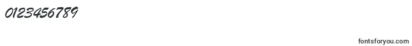 BrushScriptMtItalic Font – Fonts for Numbers and Digits