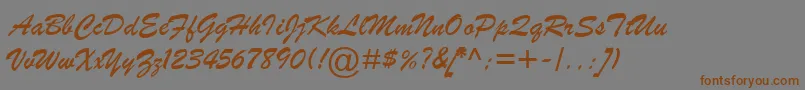 BrushScriptMtItalic Font – Brown Fonts on Gray Background
