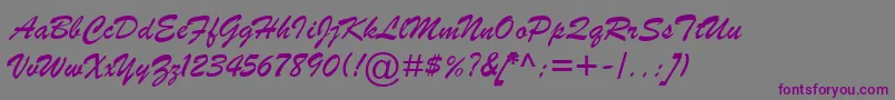 BrushScriptMtItalic Font – Purple Fonts on Gray Background