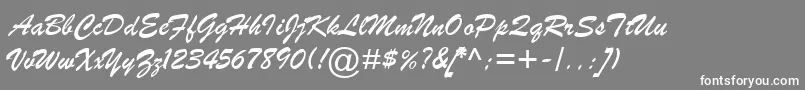 BrushScriptMtItalic Font – White Fonts on Gray Background