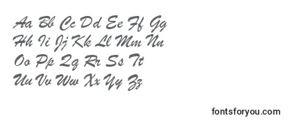 BrushScriptMtItalic Font